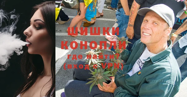 ГАЛЛЮЦИНОГЕННЫЕ ГРИБЫ Баксан