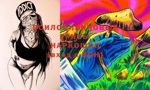 PSILOCYBIN Галич