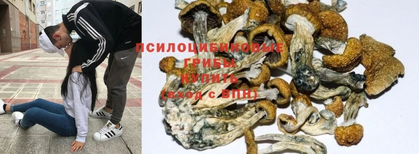 молекула духа Балахна
