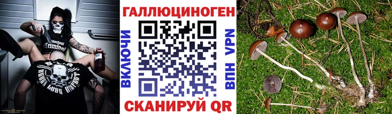 Псилоцибиновые грибы мицелий  МЕГА вход  Демидов 