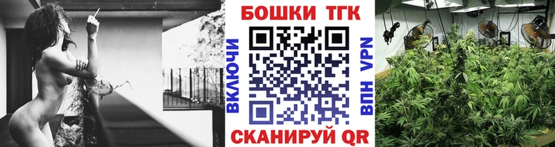 Канабис SATIVA & INDICA  где можно купить   Демидов 